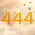 Какое духовное значение скрыто в числе 444
